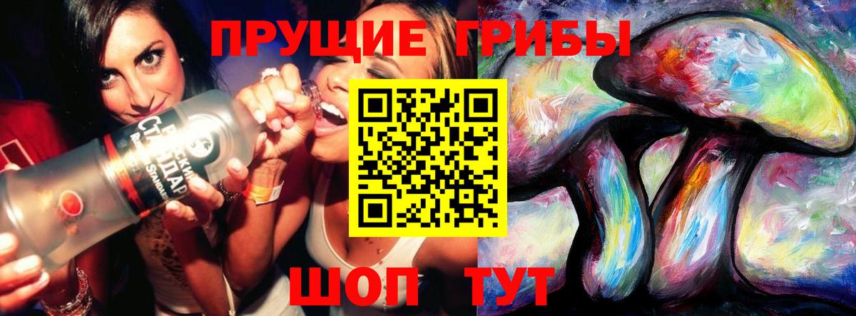 Галлюциногенные грибы прущие грибы  Псилоцибиновые грибы Psilocybine cubensis  Владикавказ  Вход с VPN 